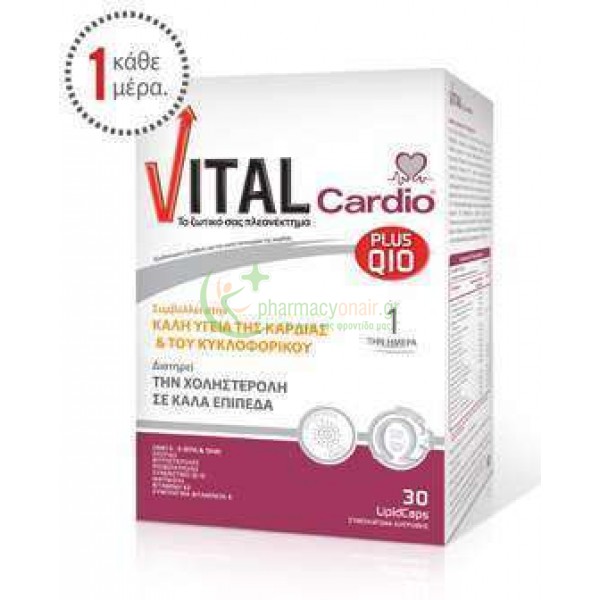 VITAL - Plus Q10 Cardio Lipidcaps 30s ΣΥΜΠΛΗΡΩΜΑΤΑ ΔΙΑΤΡΟΦΗΣ