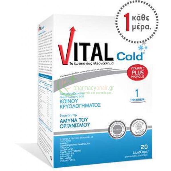VITAL - Cold Lipidcaps 20s ΣΥΜΠΛΗΡΩΜΑΤΑ ΔΙΑΤΡΟΦΗΣ