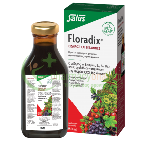 POWER HEALTH - Floradix Liquid Iron Formula 250mL