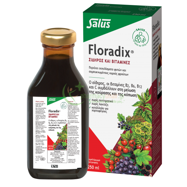 POWER HEALTH - Floradix 250mL Ατονία - Κόπωση POWER HEALTH - Floradix 250mL Ατονία - Κόπωση
