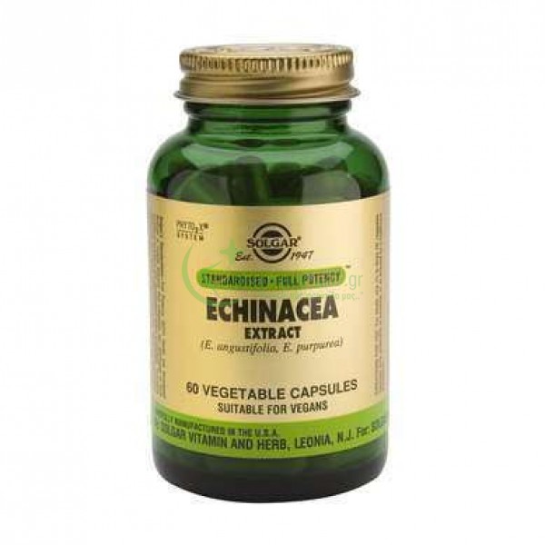 SOLGAR - Echinacea Root & Leaf Extract veg caps 60s Ενίσχυση Άμυνας Οργανισμού